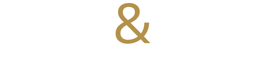 Logo Agence Plug and Play